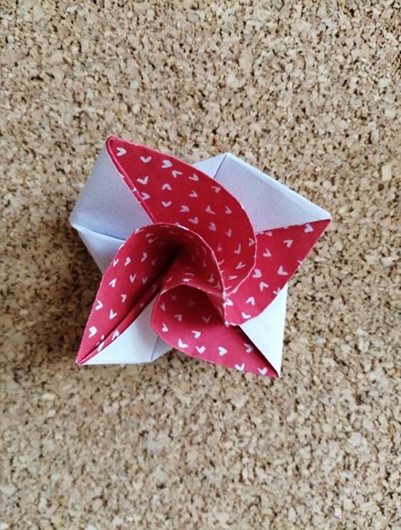 2024_junij_iEarn origami